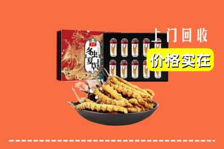 弓长岭区回收冬虫夏草